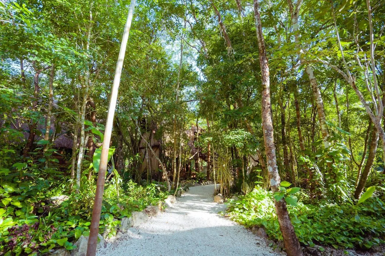 Madre Tierra Eco Habitat Guest House Puerto Morelos 0*,  Mexico