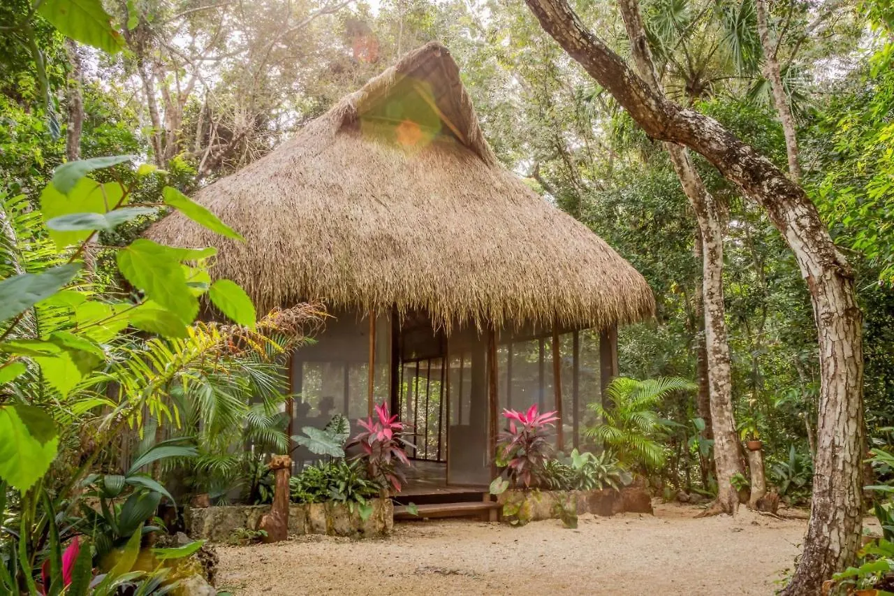 Madre Tierra Eco Habitat Guest House Puerto Morelos 0*,