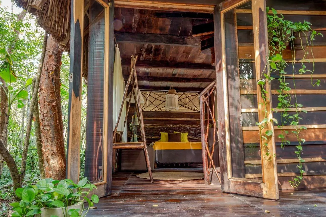 Madre Tierra Eco Habitat Guest House Puerto Morelos Mexico