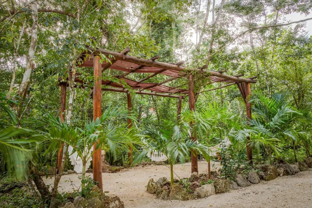 Madre Tierra Eco Habitat Guest House Puerto Morelos