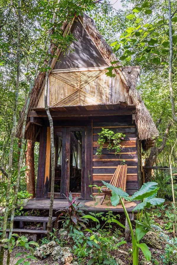 Madre Tierra Eco Habitat Guest House Puerto Morelos 0*,  Mexico