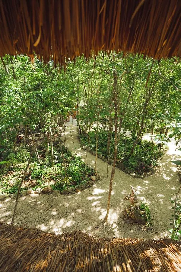 Madre Tierra Eco Habitat Guest House Puerto Morelos Mexico
