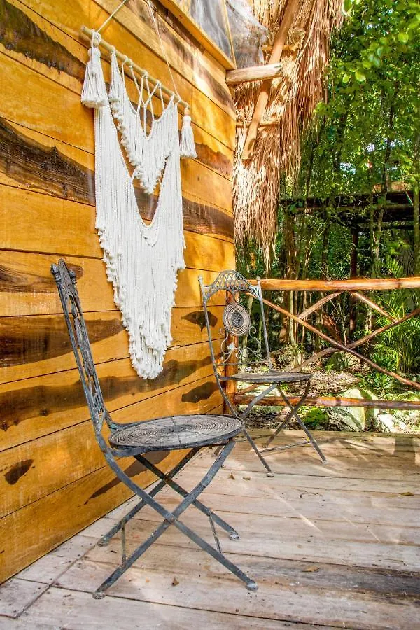Madre Tierra Eco Habitat Guest House Puerto Morelos
