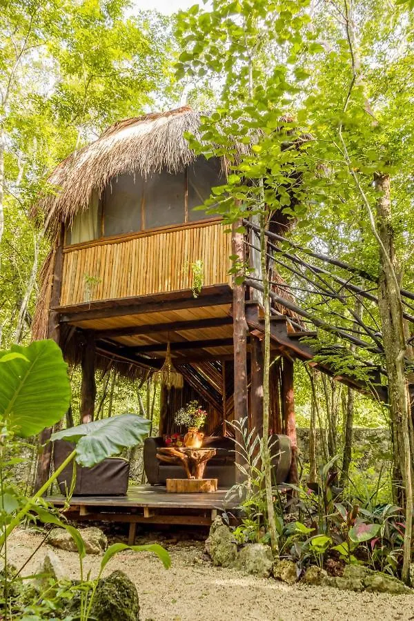 Country house Madre Tierra Eco Habitat Guest House Puerto Morelos Mexico