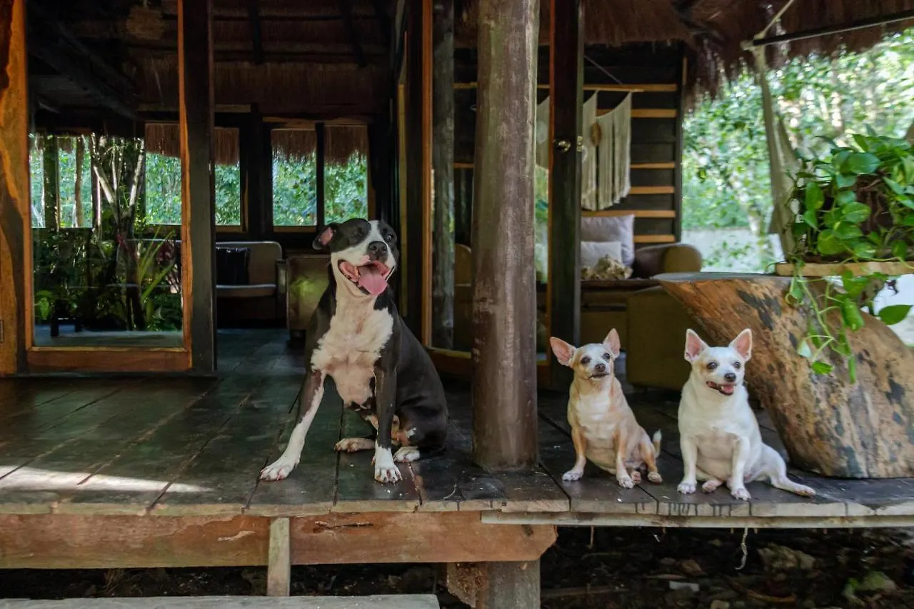Country house Madre Tierra Eco Habitat Guest House Puerto Morelos Mexico