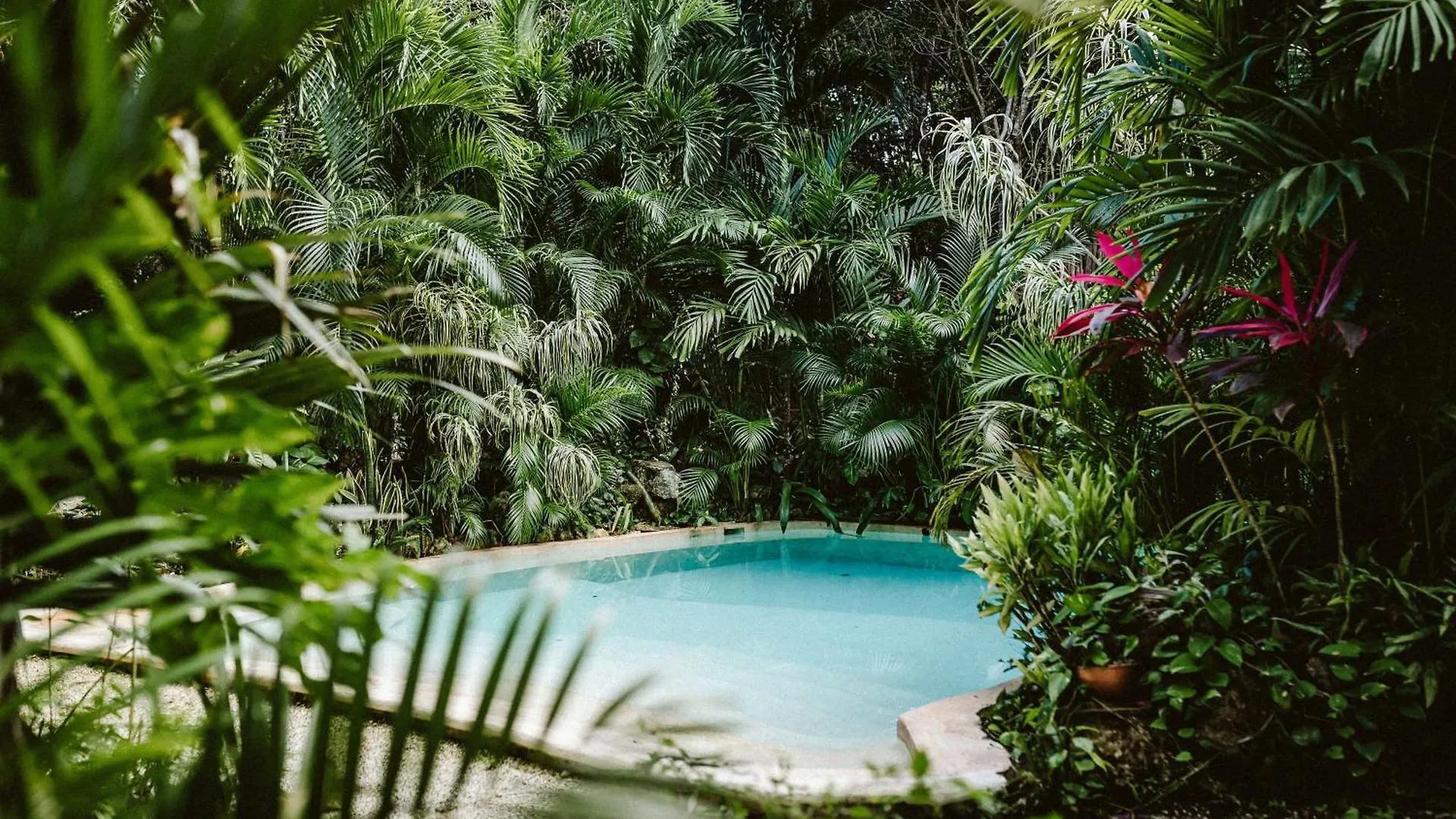 Madre Tierra Eco Habitat Guest House Puerto Morelos