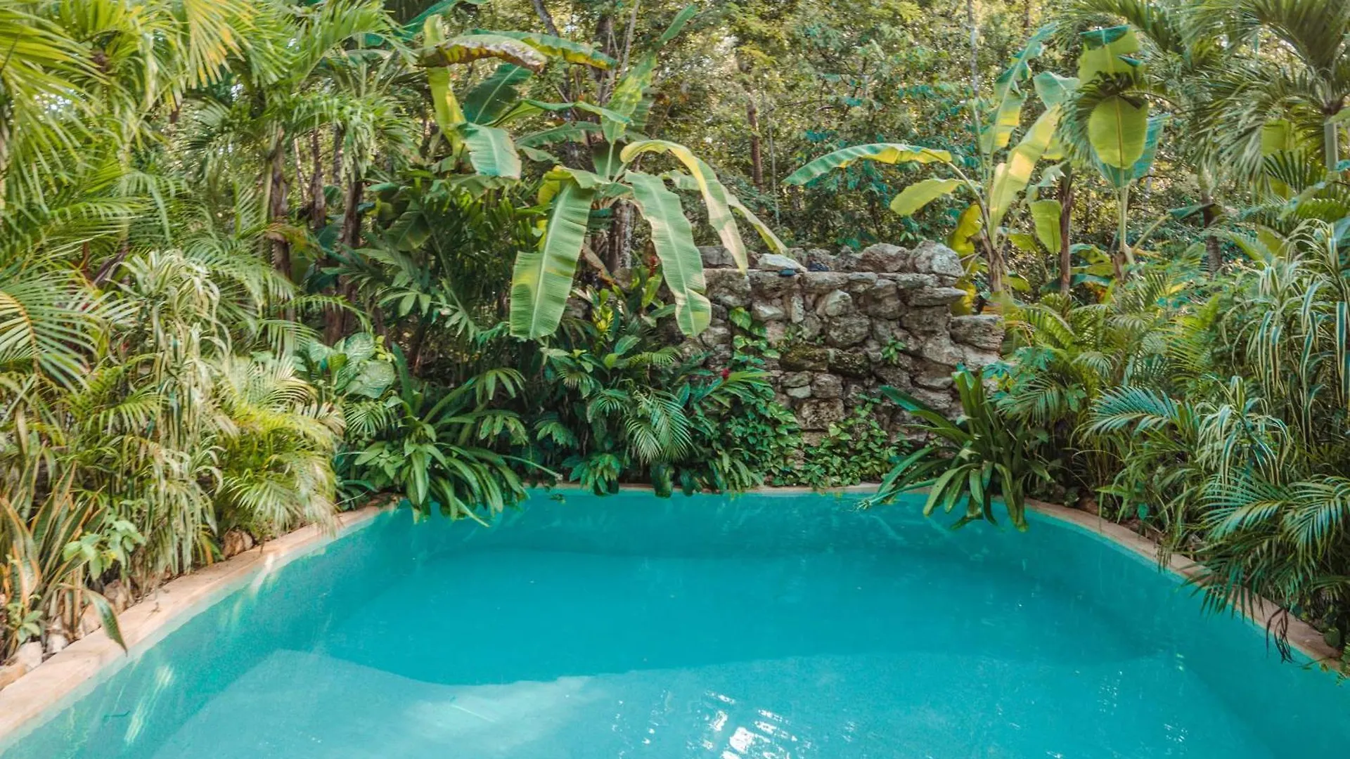 Madre Tierra Eco Habitat Guest House Puerto Morelos